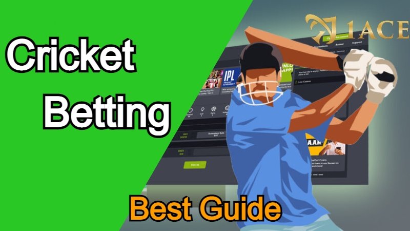 How to Cricket Betting Best Guide for beginners