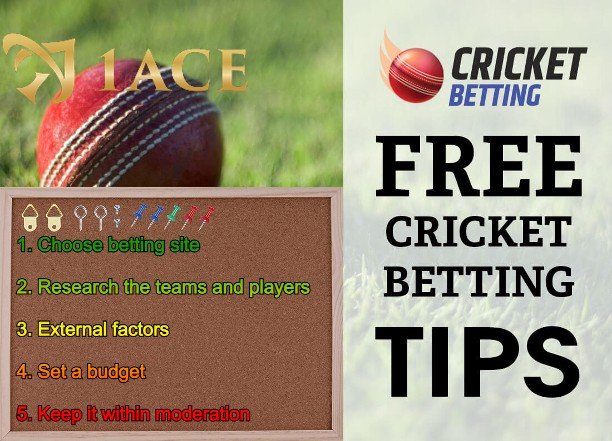 Extensive Research Online Cricket Betting Games and Factors to Consider