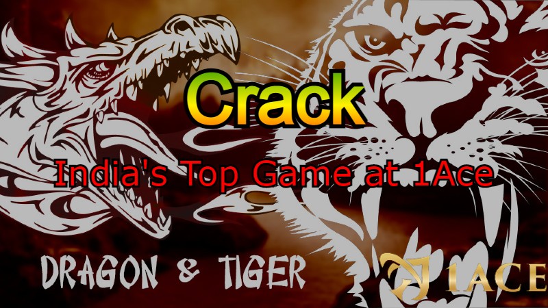 Crack Dragon Tiger ： India's Top Game at 1Ace