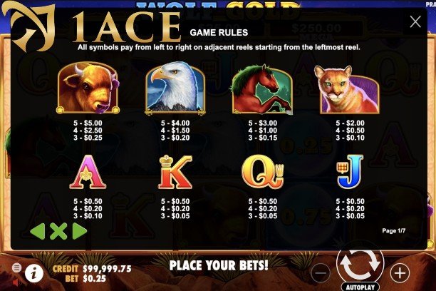 Understand the Basics of Online Slots